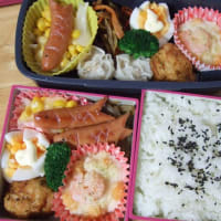 日々のお弁当３