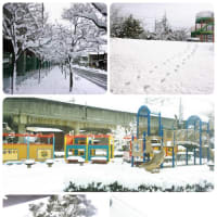 12月に9年ぶりの大雪＠Nagoya