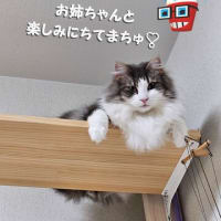 美容室