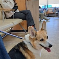 投薬後の検査を受けました
