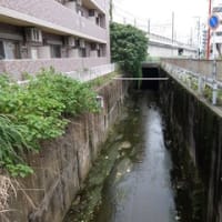 2024神奈川河川ﾎﾟﾀﾘﾝｸﾞ『矢上川』④宮前平駅～梶ヶ谷貨物ターミナル駅