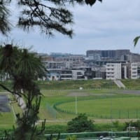 多摩川台公園あじさい園　　多摩川駅と東急電車　　　7