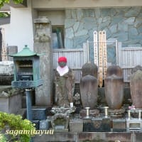 平塚に鎌倉光明寺末「報恩山阿弥陀寺」