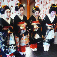 舞妓・芸妓たちが魅せる京都の春の風物詩「都おどり百五十回源氏物語」舞扇に決まる、楽しみです。！！👏👏