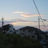 ワンニャンの健康のバロメーターは。。。