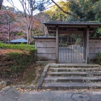 浜松城庭園、松韻亭でお茶