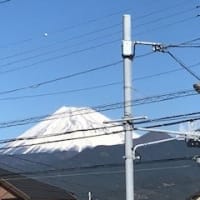 今日の富士山。