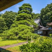 6月29日(日) 12日例会「一橋学園駅-小金井公園-境浄水場脇-三鷹駅」の下見-3-1