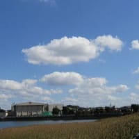 谷津干潟公園の青い空と白い雲