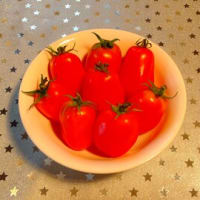 【管理栄養士おすすめ】美顔に最適な、稲敷産・調理用加熱トマト・セレブのささやきを栽培《セモリナファーム》