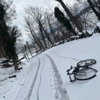 アドベンチャー　ローカル