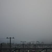今日の「広島中央フライトロード・広島空港大橋」