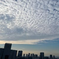 6/30の朝の空