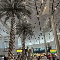 エジプト6日め-1　エティハド航空ビジネスクラスでカイロからアブダビへ