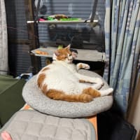 2025/6/28の朝