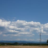 【小泉進次郎氏】次の首相で１位も共産党や社民党支持層からも支持！備蓄米放出終了で三日天下で終わりか？