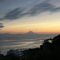 ７月のスケジュールです