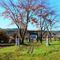 秋も来ちゃった北海道　最終編
