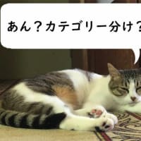 アピールチャンス！