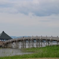 鶴の舞橋