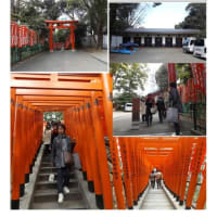 施設案内東京-514   日枝神社