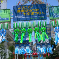 第７３回 湘南ひらつか七夕まつり