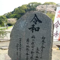 大宰府市の散策記　on　2025-4-9＆4-10　その10　坂本八幡宮