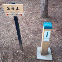 予告編：グループわらじ　第614回徒歩定例会「みちのく潮風トレイルⅣ　浜吉田駅～四方山～深山～山下駅」