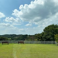 館ヶ森高原豚のバイキングレストラン