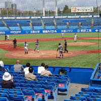 ２０２５年東京六大学野球初観戦