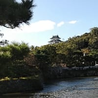 紀州路日帰りの旅(最終回)