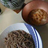 『日本更正農園🌈のぉ、夏のキャンプ』ナ～ウ！