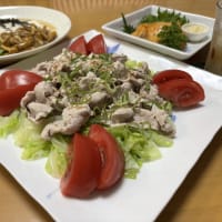 ネバネバ蕎麦☆豚しゃぶサラダ☆同じ日に・・残念な事・吉報