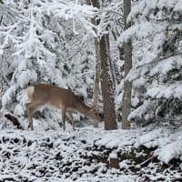 大型連休前の大雪