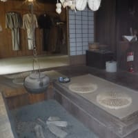 「めだかの学校」北海道開拓の村見学