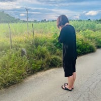『静かな場所に引き寄せられた！？』女子ひとり旅・夫婦カップルに大人気のゲストハウス UmiOto ウミオト ラグジュアリーゲストハウス 宮古島