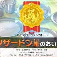 やっとリザードン級カレー