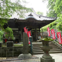 町田「薬師池公園」内に鎮座する「野津田薬師堂」