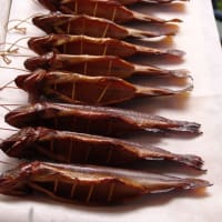 岩魚の燻製作り入門　　その４
