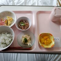 闘病日記