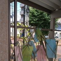 草津熱帯圏のハクビシン　ハクちゃん
