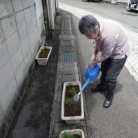花の苗植え♪