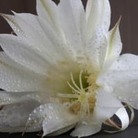 7月写真教室の作品