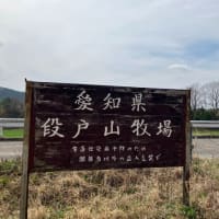 JP-1454 段戸高原県立自然公園