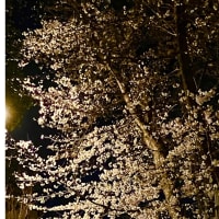 今日いち-2025年4月3日