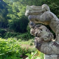 小林和平の狛犬に会いたくて