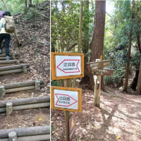 六甲山・トエンティクロスから穂高湖は予想外の山行になりました。