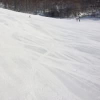 菅平で年末ツアー