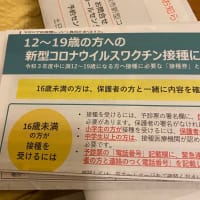 マスクはやっぱり重要なような