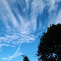 森の図書館上空の空